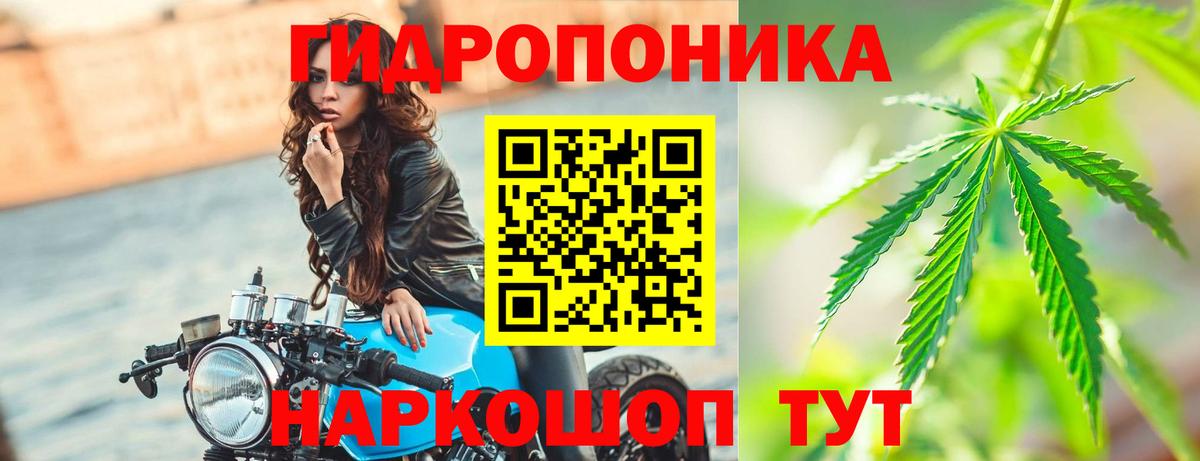 Бошки Шишки SATIVA & INDICA  Конопля Bruce Banner  Вход с VPN  МАРИХУАНА AK-47  Кирово-Чепецк  Каннабис гибрид 